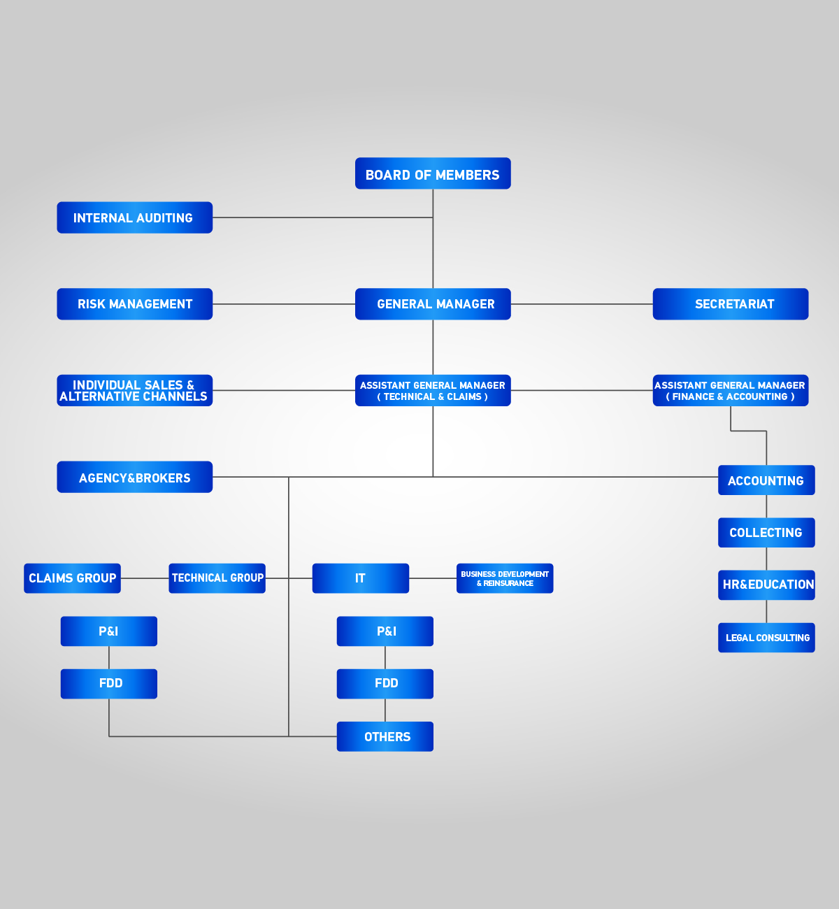 TPI Company Structure